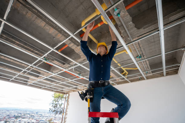 Best Local Plumber Services  in Ringgold, GA